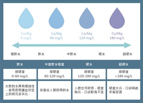 承受水體查詢|水質